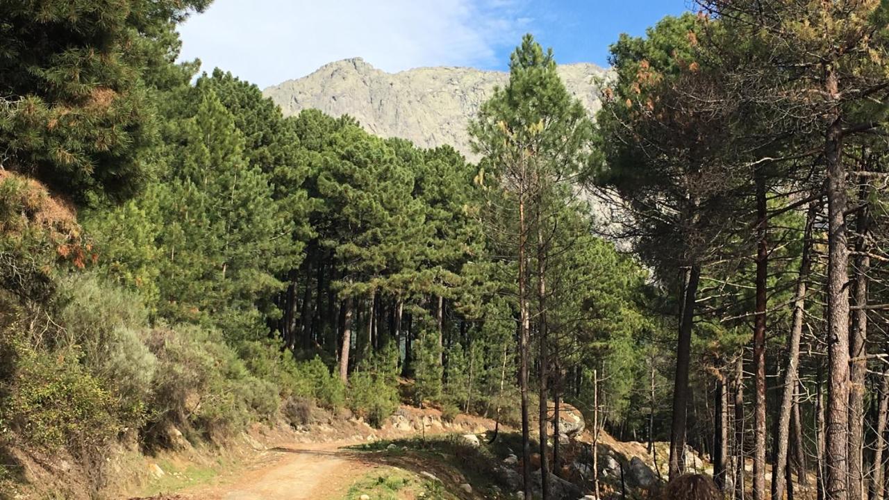 La Calleja Villarejo del Valle المظهر الخارجي الصورة